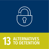 13 - Alternativas a la detención
