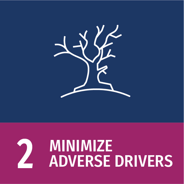 2 - Minimize adverse drivers