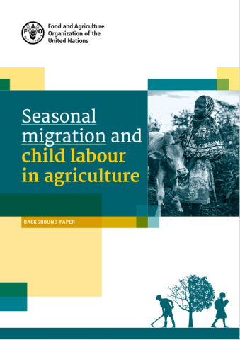 Seasonal migration and child labour in agriculture